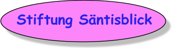 Stiftung Sntisblick